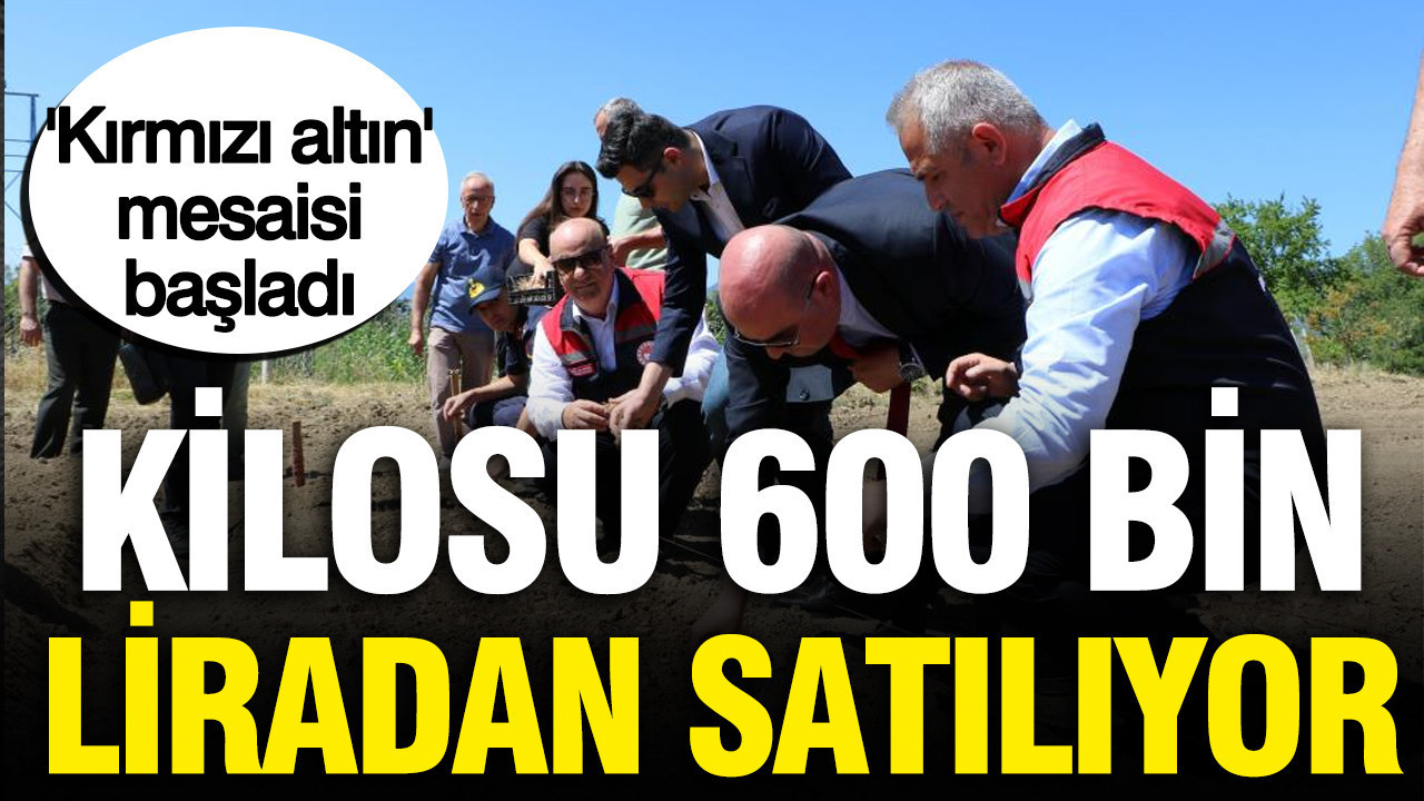 haber-gorseli-1787148510168